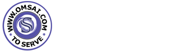 Omsai Com LLC Financial